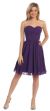 Strapless Pleated Knot Bust Short  Bridesmaid Party Dress in Plum